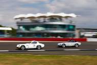 The Classic, Silverstone 2022
At the Home of British Motorsport. 
26th-28th August 2022 
Free for editorial use only 
75 Robin Ellis - Lotus Elite Series 2